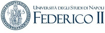 Università degli Studi di Napoli