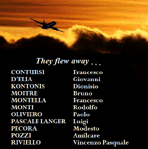 soci flew away